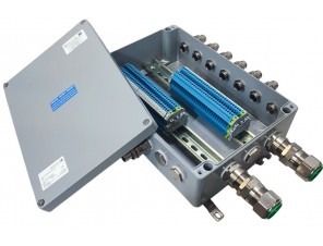 СКМ-15.233311-Ех іа-(60/2,5)bl-(2/2,5)-2(B)/25E1FX1RA5.....